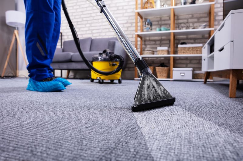 Basement Vacuuming in Renton, WA