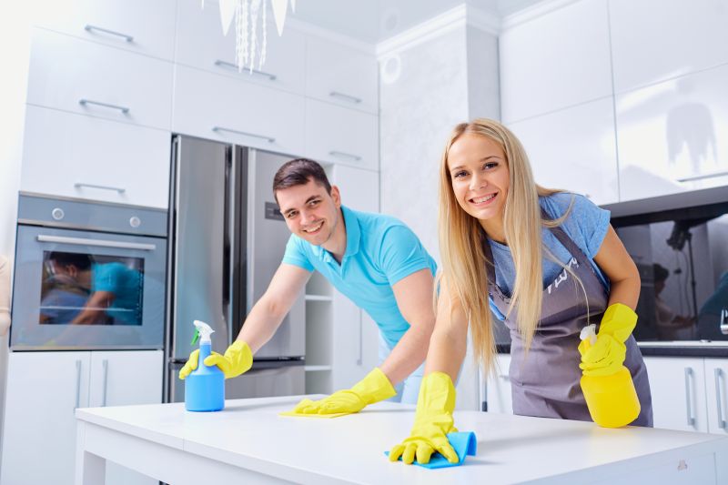 Kitchen Cleaning Service in Bellevue, WA
