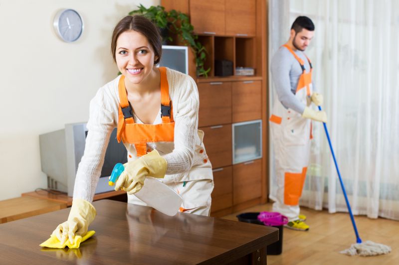 Kitchen Cleaning Service in Bellevue, WA